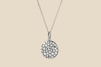 Armadillo – Silver