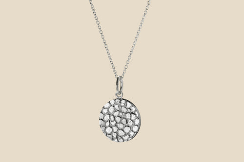 Armadillo – Silver