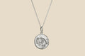 Armadillo – Silver