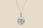 Armadillo – Silver