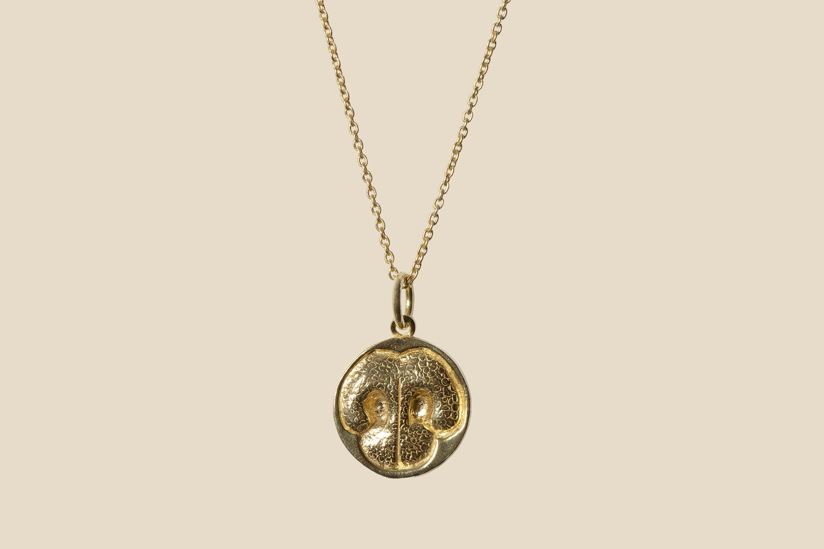 Dog – Gold
