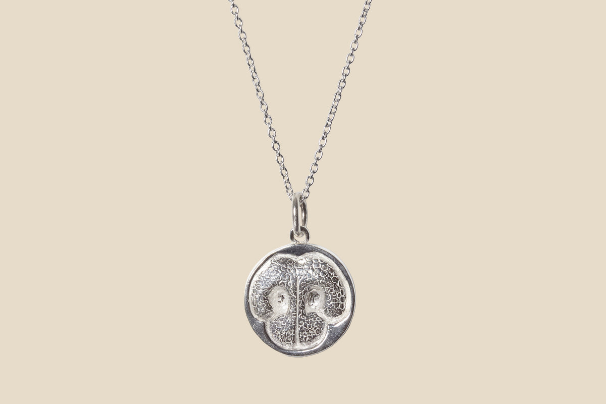 Dog – Silver