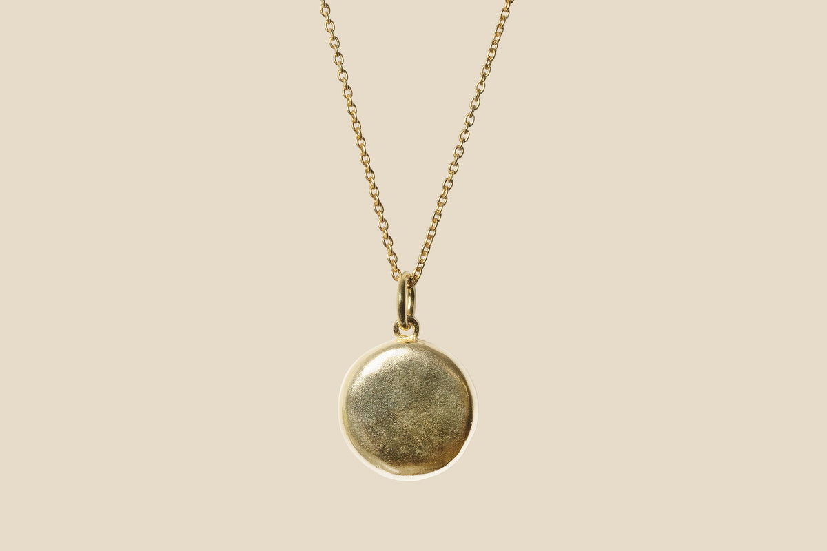 Dolphin – Gold