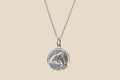 Dolphin – Silver