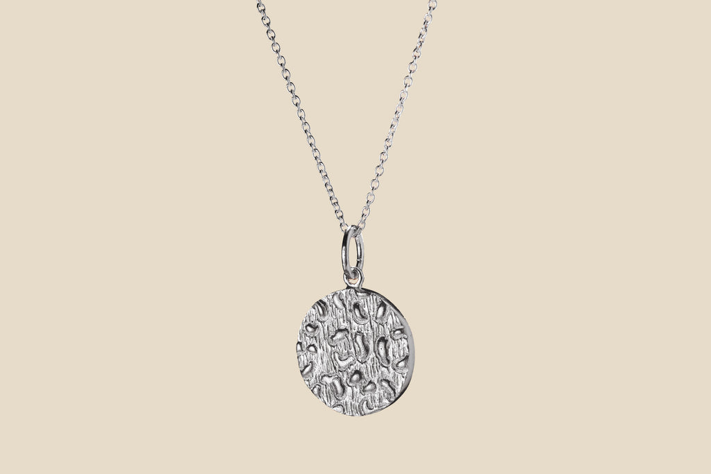 Jaguar – Silver