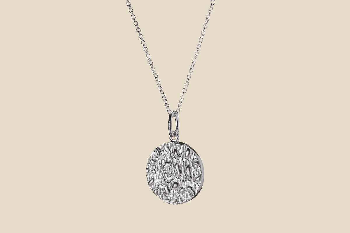 Jaguar – Silver