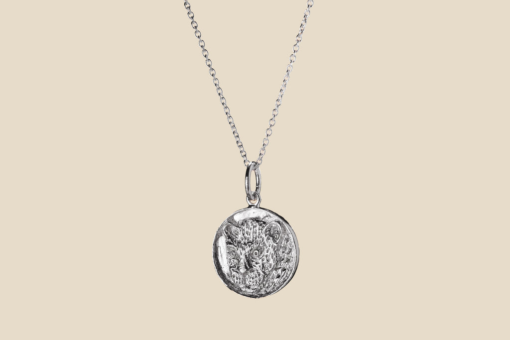 Jaguar – Silver