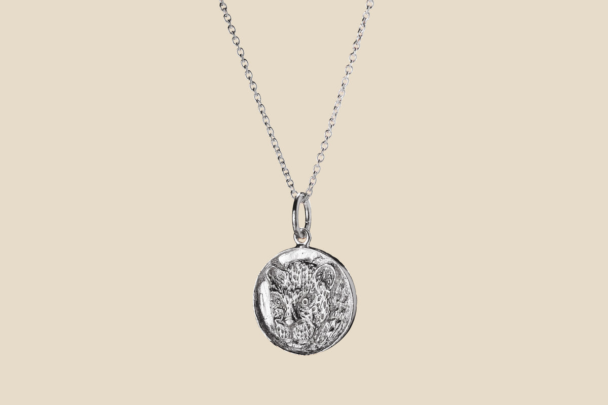Jaguar – Silver