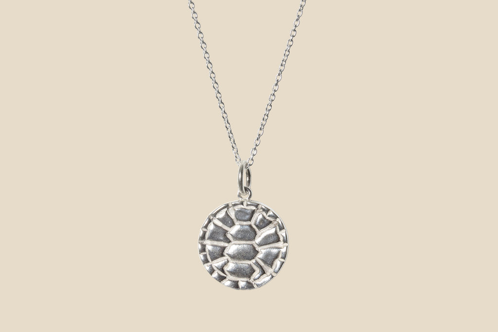 Turtle – Silver