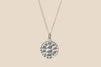 Turtle – Silver